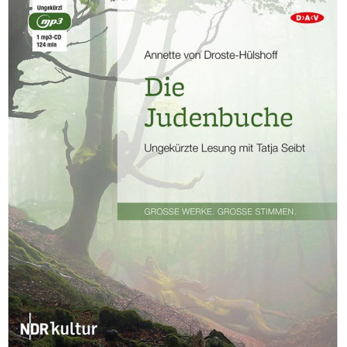 Annette von Droste-Hülshoff - Die Judenbuche