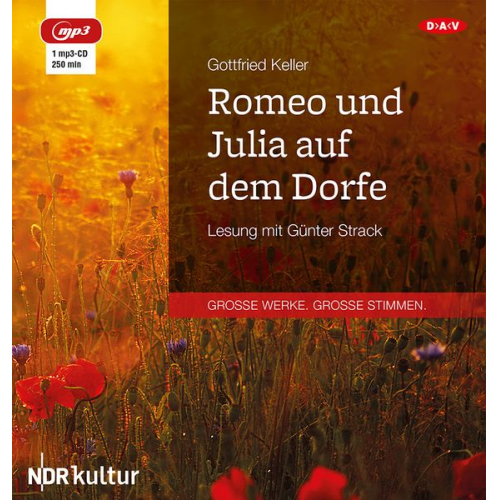 Gottfried Keller - Romeo und Julia auf dem Dorfe