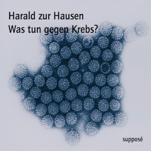 Harald Zur Hausen Klaus Sander - Was tun gegen Krebs?