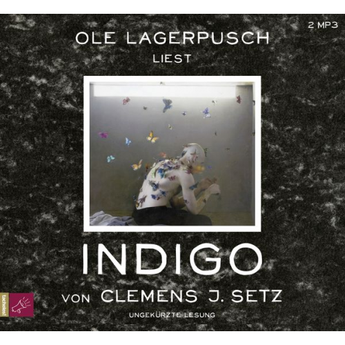 Clemens J. Setz - Indigo