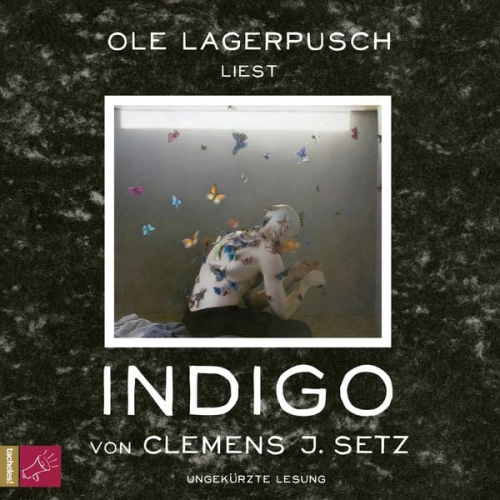 Clemens J. Setz - Indigo