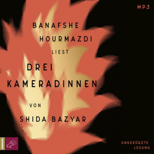 Shida Bazyar - Drei Kameradinnen