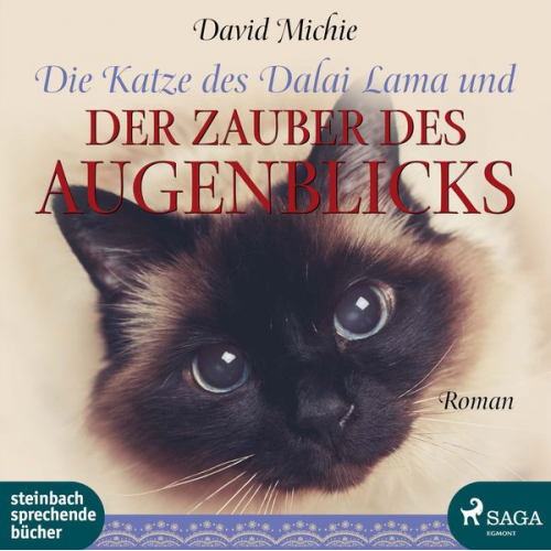 David Michie - Die Katze des Dalai Lama und der Zauber des Augenblicks