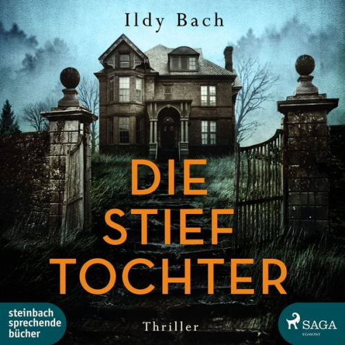 Ildy Bach - Die Stieftochter