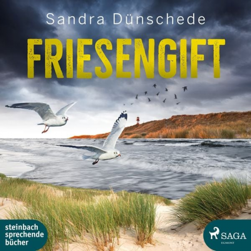 Sandra Dünschede - Friesengift