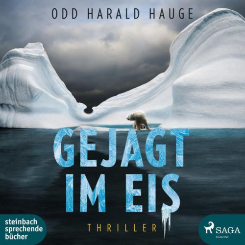 Odd Harald Hauge - Gejagt im Eis