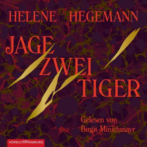 Helene Hegemann - Jage zwei Tiger