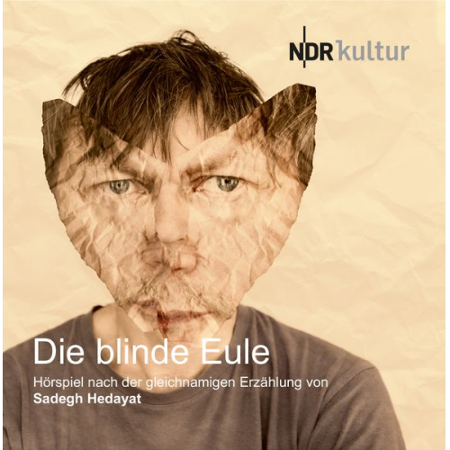 Die blinde Eule