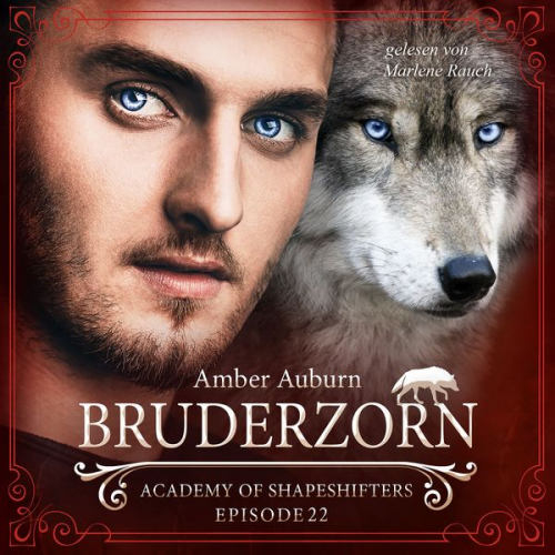 Amber Auburn - Bruderzorn, Episode 22 - Fantasy-Serie