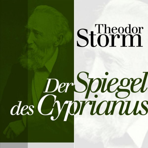 Theodor Storm - Der Spiegel des Cyprianus