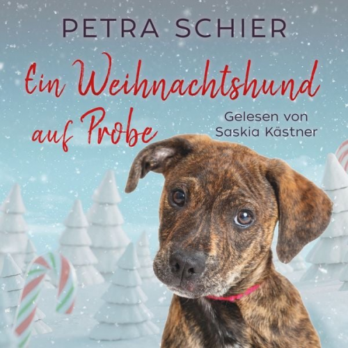 Petra Schier - Ein Weihnachtshund auf Probe