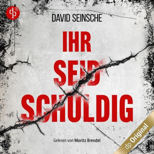 David Seinsche - Ihr seid schuldig