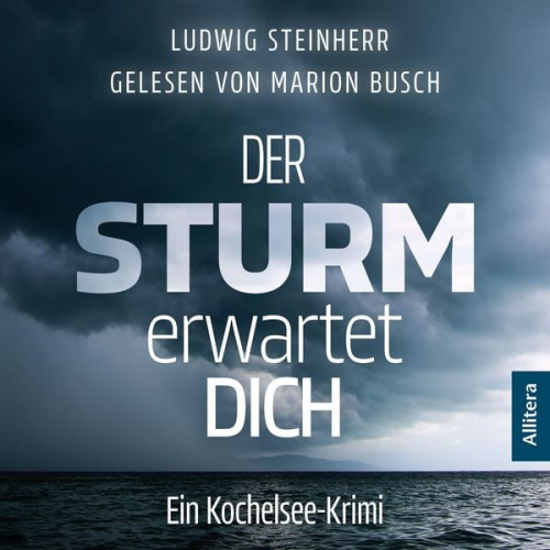 Ludwig Steinherr - Der Sturm erwartet Dich