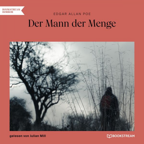 Edgar Allan Poe - Der Mann der Menge