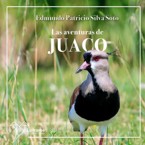 Edmundo Patricio Silva Soto - Las aventuras de Juaco