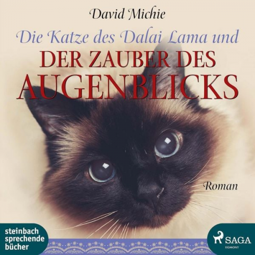 David Michie - Die Katze des Dalai Lama und der Zauber des Augenblicks (Ungekürzt)