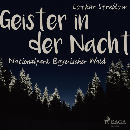 Lothar Streblow - Geister in der Nacht. Nationalpark Bayerischer Wald (Ungekürzt)