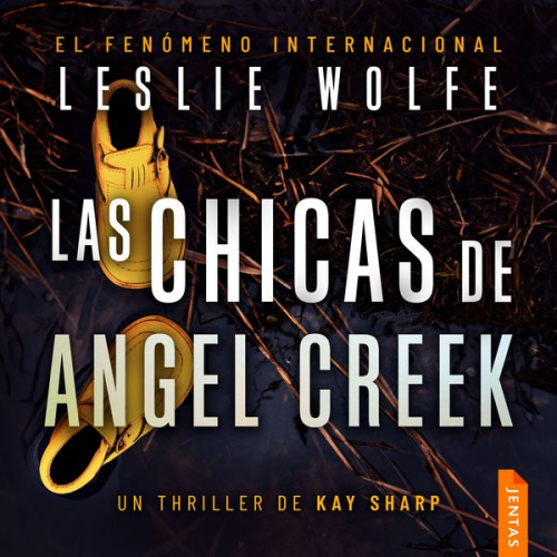 Leslie Wolfe - Las chicas de Angel Creek