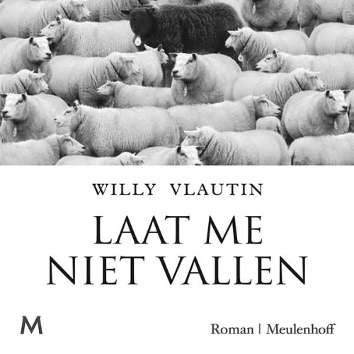 Willy Vlautin - Laat me niet vallen