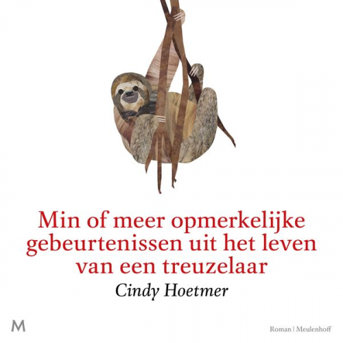 Cindy Hoetmer - Min of meer opmerkelijke gebeurtenissen uit het leven van een treuzelaar