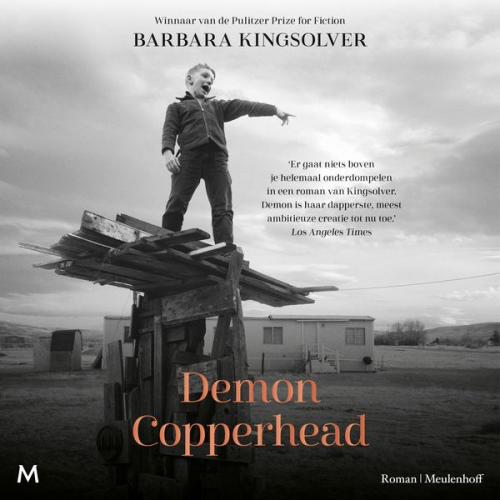 Barbara Kingsolver - Demon Copperhead