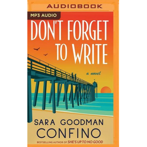 Sara Goodman Confino - Don't Forget to Write