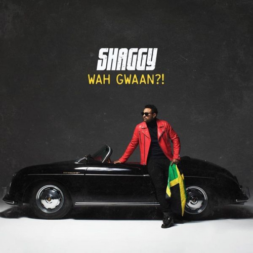 Shaggy - Shaggy: Wah Gwaan?!