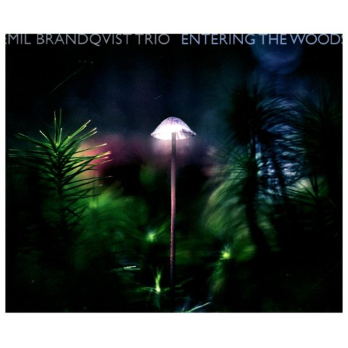 Emil Brandqvist Trio - Emil Brandqvist Trio: Entering The Woods (Digipak)