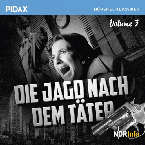 Irmgard Koester - Die Jagd nach dem Täter, Vol. 3