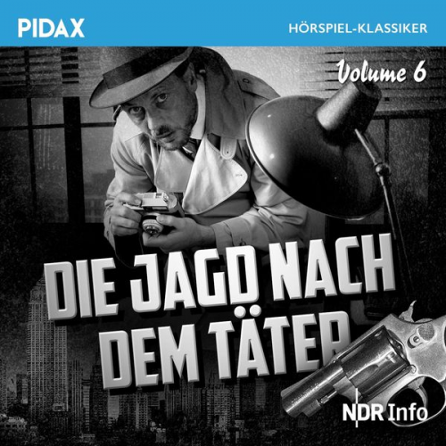 Irmgard Koester - Die Jagd nach dem Täter, Vol. 6