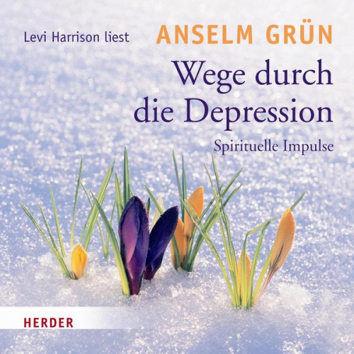 Anselm Grün - Wege durch die Depression