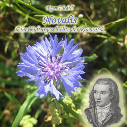 Egon Fridell - Novalis