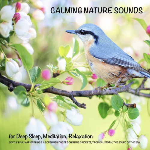 Yella A. Deeken - Calming Nature Sounds (without music) for Deep Sleep, Meditation, Relaxation