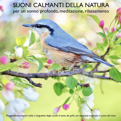 Yella A. Deeken - Suoni calmanti della natura (senza musica) per un sonno profondo, meditazione, rilassamento