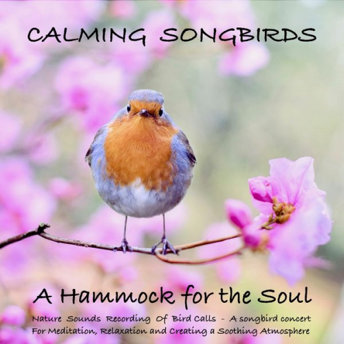 Yella A. Deeken - Calming Songbirds: Nature Sounds Recording Of Bird Calls - A songbird concert for Meditation, Relaxation and Creating a Soothing Atmosphere