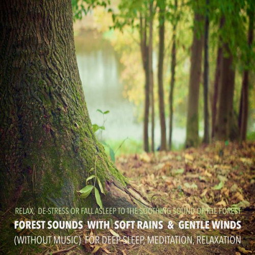 Yella A. Deeken - Forest Sounds with Soft Rains & Gentle Winds (without music) for Deep Sleep, Meditation, Relaxation