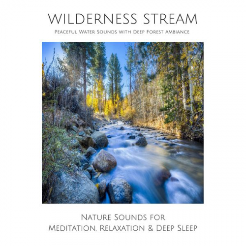 Yella A. Deeken - Wilderness Stream (without music) - Peaceful Water Sounds with Deep Forest Ambience