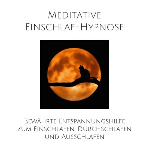 Patrick Lynen - Meditative Einschlafhypnose