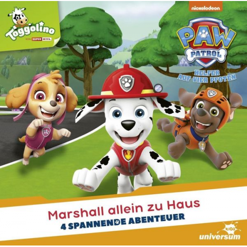 Paw Patrol CD 19. Marshall allein zu Haus.