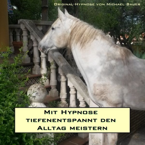 Michael Bauer - Mit Hypnose tiefenentspannt den Alltag meistern