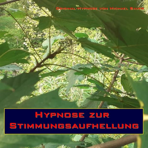 Michael Bauer - Hypnose zur Stimmungsaufhellung