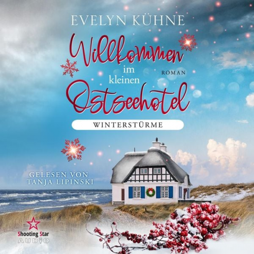 Evelyn Kühne - Winterstürme