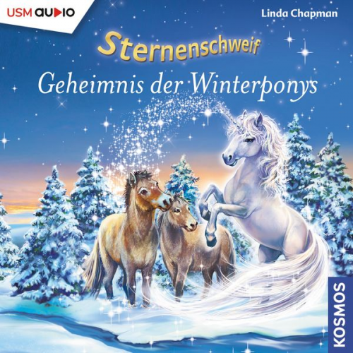 Linda Chapman - Geheimnis der Winterponys