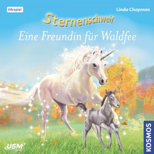 Linda Chapmann - Eine Freundin für Waldfee