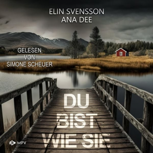 Ana Dee Elin Svensson - Du bist wie sie: Schweden-Krimi