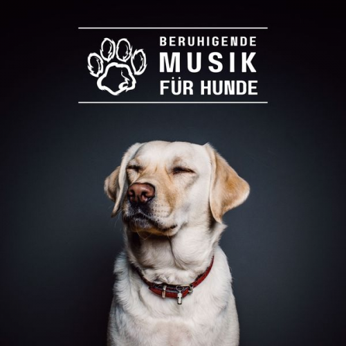 World Of Dogs - Beruhigende Musik für Hunde