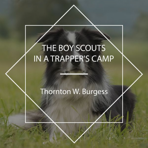 Thornton W. Burgess - The Boy Scouts in a Trapper's Camp