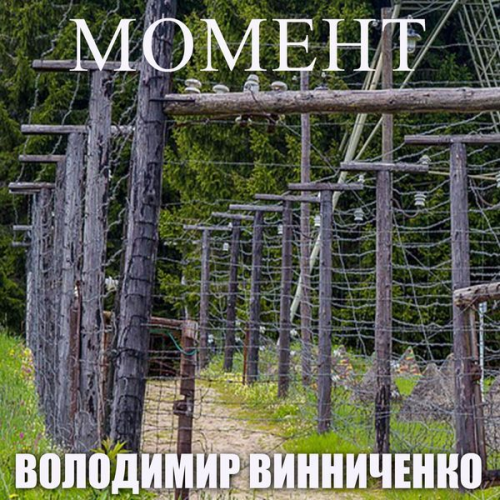 Voladymyr Vynychenko - Moment