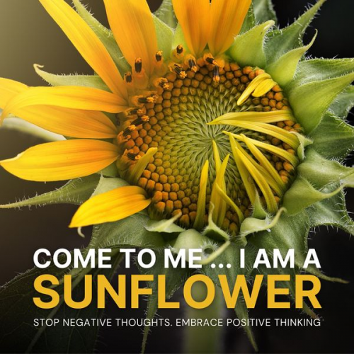 Institute For Self-Hypnosis - Come to Me: I Am a Sunflower