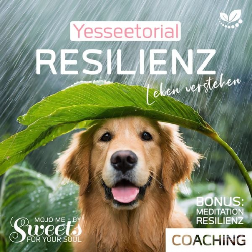 Coco Styles Indi Sanders - Resilienz, die 7 Säulen der mentalen Stärke, mit Selbsttest im Hörbuch zur Stärkung deiner inneren Widerstandskraft